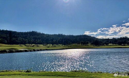 张宇最新动态爆料,揭秘明星背后的故事与成长